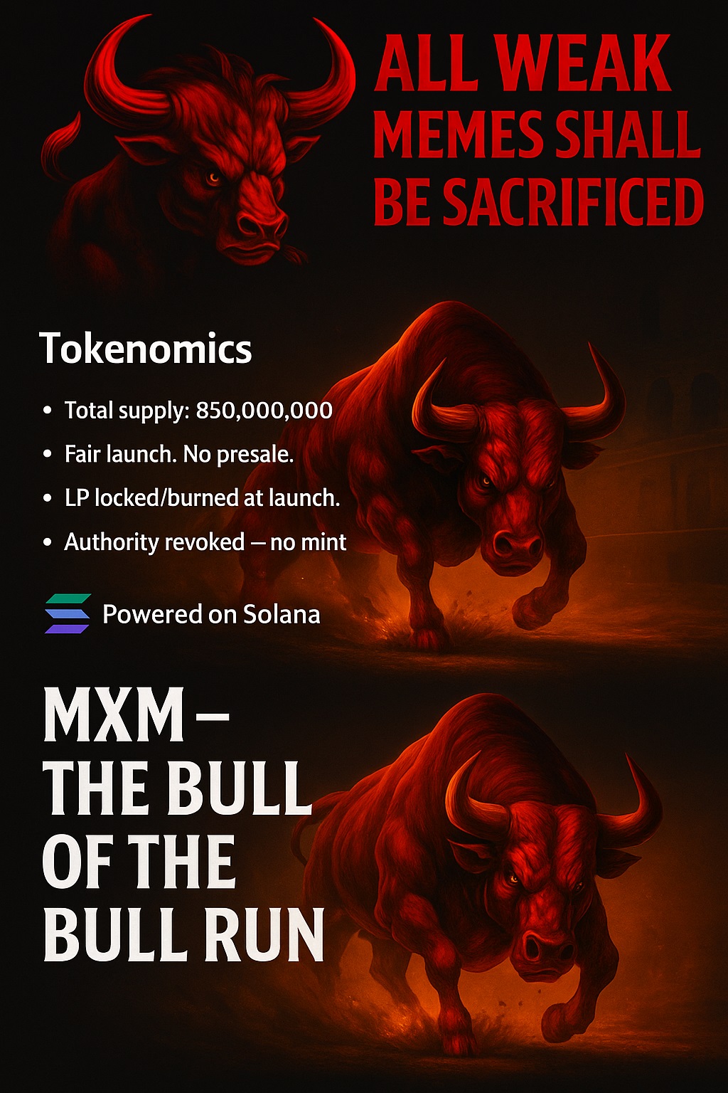 Maximus Banner